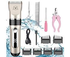 NWOUIIAY Tondeuse Chien Professionnel sans Fil Détachable Tondeuse pour Chien Lames en Céramique Ecran LCD Charge Rapide Rasoir Chien Lame Détachable et Lavable à Faible Bruit 5 Vitesses de Rotation
