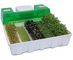 Germoir automatique EasyGreen
