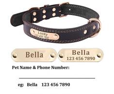 Mihqy Collier de Chien en Cuir personnalisé - Nom et numéro de téléphone du Chien gravé au Laser - avec Plaque Nominative ID Tags sur Mesure，Convient aux Petits, Moyens et Grands Chiens