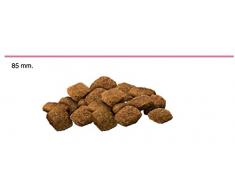 Advance Croquettes pour Chien Plus de 8 Ans Mini Poulet et Riz 3 kg
