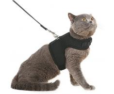 Bingpet Harnais avec laisse pour chat. Maille douce et enveloppante, harnais réglable - idéal pour promener les chatons sans qu’ils ne s’échappent