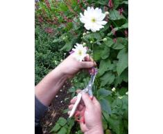 Sécateur Okatsune 104 modèle extra large