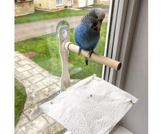 Perchoir à oiseaux, perruche, perroquet, calopsitte. Perchoir à coller avec plateau à déjections. Perchoir pour oiseaux