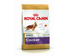Royal Canin Cocker Adult - sac de 12 kg/Croquettes pour chien Cocker adulte