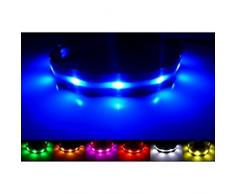 Collier USB pour Chien à LED Rechargeable (Moyen - M, Noir)