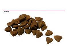 Advance Croquettes pour Chien Mini Adulte Poulet et Riz 7,5 kg