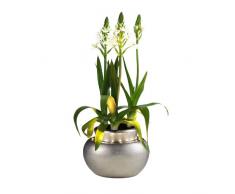 CTO DIFFUSION LUXPLANTER - cache-pot décoratif lumineux 16 LED (couleur argent)