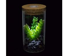 Ecosides Artificielle Succulente Cactus en Verre Vase avec LED Lumière Arôme Cork,Faux Fleurs Bonsaï,Cylindre Terrarium,Cactus Noël pour Cadeau, Petit Plantes Artificielle