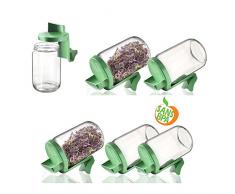 Germline - Germoir en verre - Lot de 6 germoirs en verre Germline