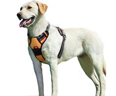 Eagloo Harnais Chien Anti Traction Harnais pour Chien Facile à Mettre Harnais Classique avec 2 Anneaux en Métal Harnais Réfléchissant Bouledogues Labrador Cocker Border,Taille L Couleur Orange