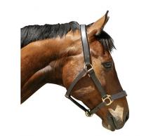 Kerbl Eco Licol pour Cheval de Selle Brun