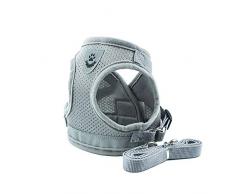 Deggodech Harnais Gilet de Compagnie pour Petit Chien Chihuahua Harnais Respirant Chaton Réglable Confortable Refléchissant Harnais Chat Voiture Tissu Dog Vest Harness pour Petit Chien Chihuahua - S
