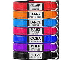 Joytale Collier de Chien Personnalisé, Collier de Chien Gravé Réfléchissant avec Nom et Adresse, Convient aux Chiens de Petit, Orange