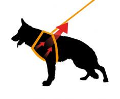 Ferplast Ergocomfort gris Harnais avec Rembourrage XS pour Chien