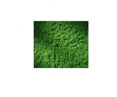 Auhagen 76666 Vert Clair Rouleau pour Gazon
