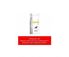 Royal Canin Veterinary Diet Dog Cardiac EC26 Chien - Croquettes 2 kg