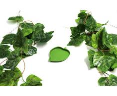 GenRev 4,6 mètres (15 Pieds) Jeu de décoration Plantes grimpantes de Terrarium pour Reptiles à ventouses pour Cage de Dragon Barbu, ou Serpent – y Compris Plat d’Eau