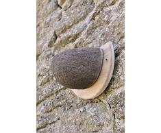 Wildlife World Nichoir pour Hirondelle Rustique avec Fixation Murale