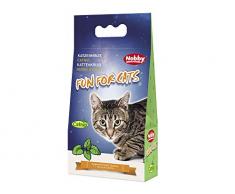 Nobby Herbe à Chat pour Chat 25 g