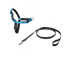 PetSafe Harnais pour Grand Chien Deluxe Easy Walk (L) - Réfléchissant - Anti-Traction - Doublure en Néoprène - Confortable - Bleu Océan