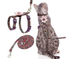 EXPAWLORER Harnais et laisse pour chat anti-fuite – Motif cachemire amovible pour petits chiots et chats