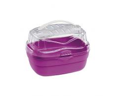 Ferplast Transport pour Hamsters et Autres Petits Rongeurs Aladino Small Cage de Transport pour Petits Animaux, Rongeurs, Hamsters, Plastique Résistant,20 X 16 X H 13,5 cm, Fuchsia