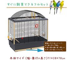 Ferplast - Palladio 5 / 52063811 - Volière pour perruches - Complètement équipée - 71 x 38 x 78 cm - Vert