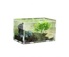 Reptiles Boîte en Verre Terrarium Maison, Acrylique Transparent Maison De Reptile Alimentation Escalade Pet Box pour Les Araignées Scorpions Mante Coléoptères Serpents Mini Pet Home