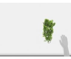 Zoo Med Cashuarina Plante Plastique pour Terrarium Taille M