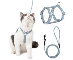 HAPPY HACHI Harnais Chat Réglable Harnais Laisse (145cm Bleu-Vert S) pour Chat Petit Chien en Nylon avec Laisse Résistant à la Sécurité Harnais Veste pour Chiot Chaton des Petits Animaux de Compagnie