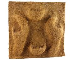 REPTILES PLANET Décor de fond en coco pour terrarium pour planter 50 X 50 X 1 cm