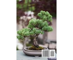 A Bonsai Tree in a Pot Ornamental Plant Journal: 150 Page Lined Notebook/Diary
