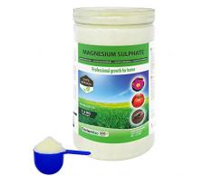 NortemBio Agro Sulfate de Magnésium Naturel 1,2 Kg. Engrais dUtilisation Universelle. Améliore la Croissance des Cultures, des Jardins, des Plantes d’Intérieur et d’Extérieur. Développé en France.