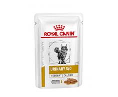 ROYAL CANIN Cat Urinary S/O MC Poulet Nourriture pour Chat 12 Sachet 85 g