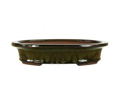 Pot à bonsaï 29.5x23.5x6cm olive ovale en grès émaillé