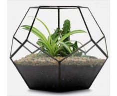 Asvert Grand Vase Transparent en Verre Pot de Fleurs Géométrique Style Industriel Plante Terrarium Micro Paysage Decoratif pour Jardin Bureau Patio Balcon 17.5 * 17.5 * 15cm