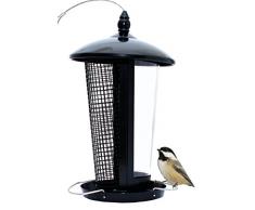 Mangeoire pour les oiseaux sauvages qui attire plus doiseaux