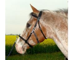 Horka cavecon, caveçon en ibérique pour demi-sang