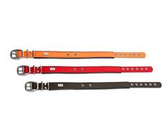 PetTec Collier de Chien en Trioflex avec Rembourrage, Marron, résistant aux intempéries, résistant à l'eau, Robuste