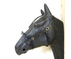 PS Products Caveçon cavecon Français/Cavesson avec Anneaux en D Soft – Taille COB, Schwarz mit goldenem Beschlag