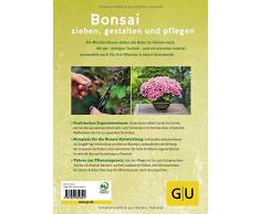 Bonsai ziehen, gestalten und pflegen: Schritt für Schritt zum Bonsaiprofi