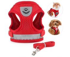Idepet Harnais de chat laisse, harnais de marche à maille souple et ajustable avec sangle réfléchissante pour petit, moyen, grand, chaton, chiot, lapin
