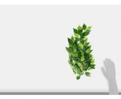 Exo Terra PT3040 plantes pour terrarium - ficus medium