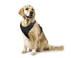 Rabbitgoo Harnais Chien Réglable Gilet Chien avec Poignée Contrôle Harnais Réfléchissant Matériau Respirante Durable Couleur Noir Taille M