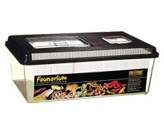 Exoterra Terrarium Polyvalent pour Reptile/Amphibien 46 x 30 x 17 cm
