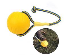 NALCY Chien Jouet à Mâcher Balle avec Corde, Chien Interactive Lanceur De Balle pour Animaux De Compagnie Jouer entraînement lexercice, diamètre de la Boule 7 cm