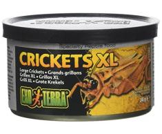 Exoterra Aliment pour Reptiles et Amphibiens Crickets Large 34 g