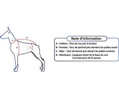 RED DINGO Collier Réglable pour Chien Rouge Etoiles Blanc 20-32 cm 12 mm