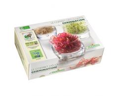 Germline - Coffret cadeau - Germoir en verre + 3 sachets de graines + 1 livre