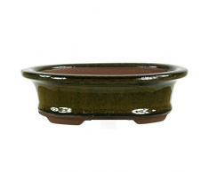 Pot à bonsaï 15x11.5x4.5cm olive ovale en grès émaillé